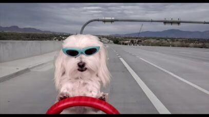 Publicidad TODDY – Sabemos de chocolate ( pero de nada más)