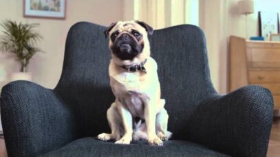 Publicidad VOLKSWAGEN SURAN 2014 – Se agranda tu familia, evoluciona tu Suran.