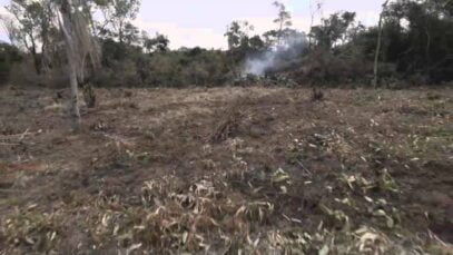 Spot WWF Paraguay – Un País detrás de la lluvia – Voz de Roa Bastos