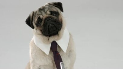 Publicidad ANSWER Seguros – Que no te den Vueltas! – Parabrisas