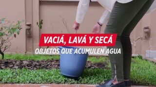Spot MINISTERIO DE SALUD –  Contra los mosquitos todos tenemos que hacer algo (Percusión)