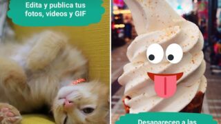 whatsapp-estados-01-1-1