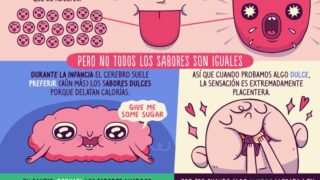 Tu (posible) odio de niño por las verduras finalmente tiene una explicación  …