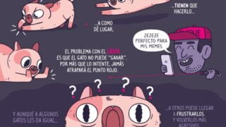 pictoline-por-que-los-gatos-tienen-una-fijacion-con-los-laserespor-que-quiza-no-es-tan-b.jpg