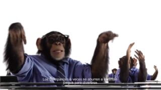 Publicidad PERSONAL – Chimpancés – WhatsApp Gratis