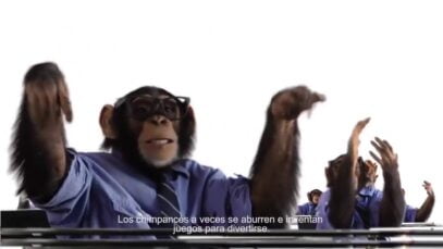 Publicidad PERSONAL – Chimpancés – WhatsApp Gratis