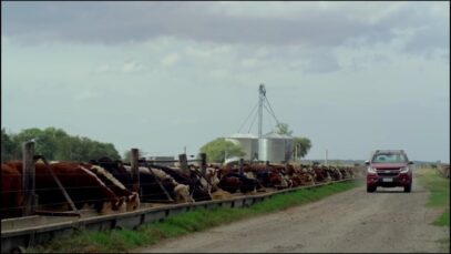 Publicidad CHEVROLET S10 – El campo sigue adelante a pesar de «la grieta»