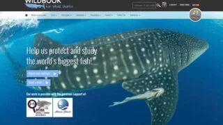 wildbook-el-facebook-de-los-animales-en-peligro-de-extincion.jpg