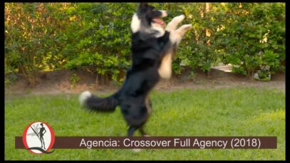 Publicidad RAZA – Alimento en barritas para perros – Amor en barritas