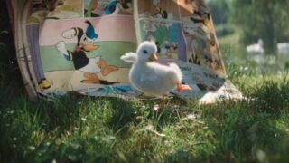 video promocion disneyworld paris patito pato donald ternura total muy tierno