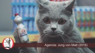 Comercial-NETTO-Marken-Discount-Gatos-comprando-en-el-supermercado.jpg