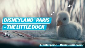 Comercial DISNEYLAND Paris – El Patito que admira y quiere conocer al Pato Donald