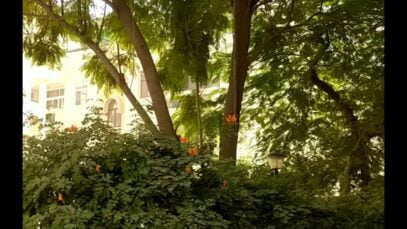 Las historias de Instagram podrán ser vídeos más largos divididos en trozos