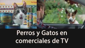 Perros y Gatos (y otros animalitos) en la Publicidad – Dogs and cats in TV Commercials