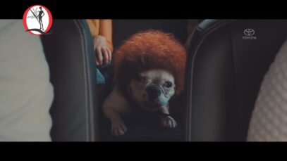Comercial-TOYOTA-Etios-2017-–-Sossego-Cão-com-peruca.jpg