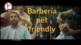 Publicidad-CLOVER-Barbería-pet-friendly-atiende-a-perros-y.jpg
