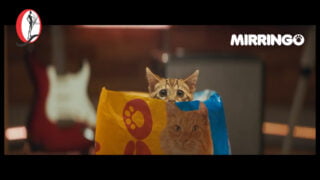 comercial de mirringo cancion es mi vida es mi espacio