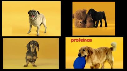 Publicidades-PEDIGREE-con-perros-salchicha-golden-schnauzer-pug-y-labrador.jpg