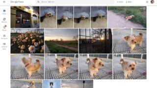 15-trucos-para-convertirte-en-un-maestro-de-Google-Fotos.jpg