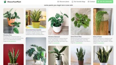 ChooseYourPlant-una-nueva-red-social-para-amantes-de-las-plantas.jpg