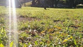 Tarde de Agosto en el Parque Centenario de la Ciudad