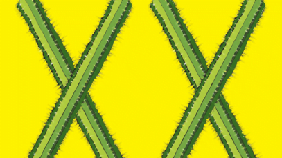 Veinte Años Jessico