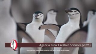 Publicidad PING VINO – Pingüinos ofrecen vino de Dante Robino