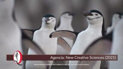 Publicidad PING VINO – Pingüinos ofrecen vino de Dante Robino