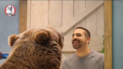 Comerciales SPRING AIR 2020, 2021 y 2022 + video viral