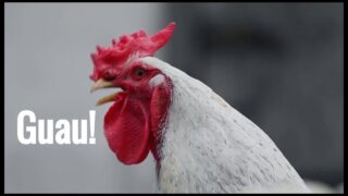 El ascenso del trap en las publicidades de Claro 2018: