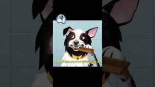 DENTASTIX Publicidades Argentina, Chile y México (con Diego Boneta) #SHORT