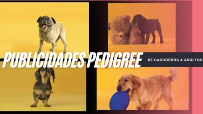 Publicidades PEDIGREE 2011-2017 con perros de diferentes paises, razas y
