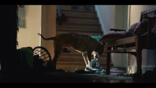 🔴 Anuncio AMAZON #SuperBowl 2023: perro rebelde