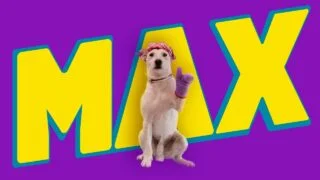 GRANJA DE SOL – Patitas de pollo Max – Quiero
