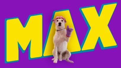 GRANJA DE SOL – Patitas de pollo Max – Quiero