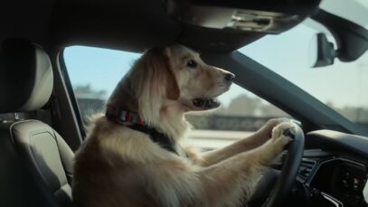 VOLKSWAGEN VIRTUS – Cachorro de Golden conduce el nuevo Virtus