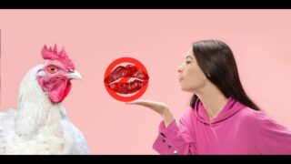 DORITOS – Fallar es de valientes, puedes ser gallina (Comercial