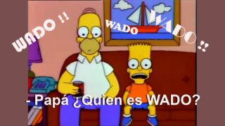 Se viene Wado! ¿QUIEN ES WADO De Pedro ? #Campaña2023