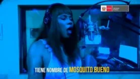¡Combate el dengue con Shakira y Bizarrap! (Publicidad Peru 2023)