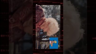 Publicidad PAMI – Gatos para todos – Me das cada