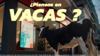 Piensas en vacas? Ves Vacas? HALCON Viajes (España 2024)