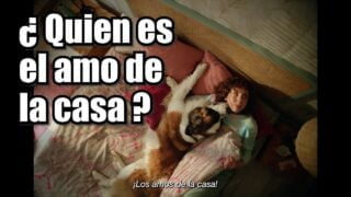 Tu mascota es el P…o amo de la casa –