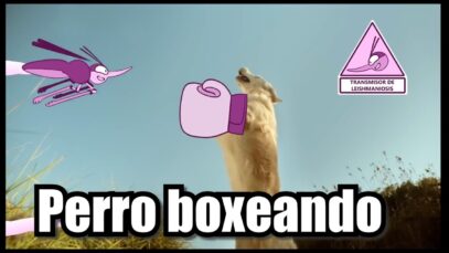 VECTRA 3D – El perro Otto contra los parasitos –