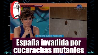 ¡Alerta Cucarachas Mutantes! Una plaga imparable que Invade los Hogares