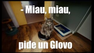 GLOVO – La reina de la casa dice Miau Miau