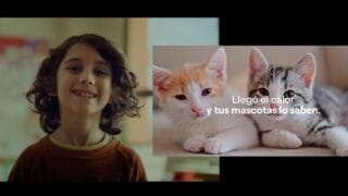 EDENOR vs EDESUR, Niños vs Mascotas – Publicidades Verano 2025
