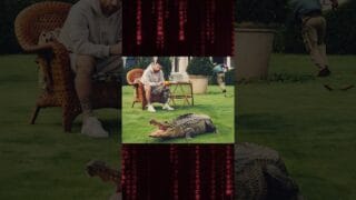 🐊 MESSI ni se inmuta con 1 cocodrilo… ¡porque quiere