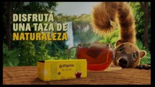 🐾 ¡Cuidado con tu merienda! Los Coatés de LA VIRGINIA