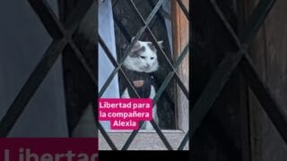 Libertad para la compañera Alexia! Está privada de su libertad