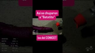 Asi se chuparon a BATATITA los del #CONICET en el